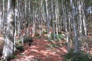 IMG_0002
