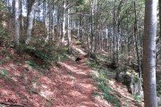 IMG_0003