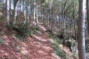IMG_0004