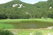 IMG_0007