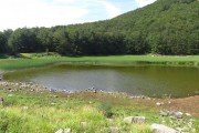 IMG_0009