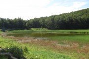 IMG_0011