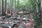 IMG_0012