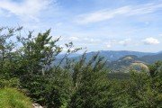IMG_0019