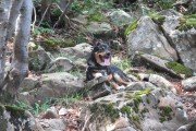 IMG_0026
