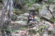 IMG_0029