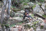 IMG_0030