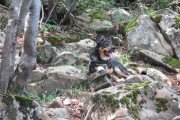 IMG_0031