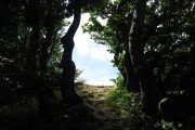 IMG_0033