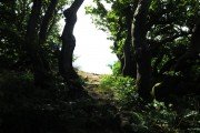 IMG_0034