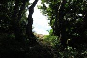 IMG_0035