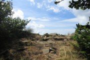 IMG_0037