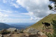 IMG_0038