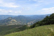 IMG_0047