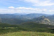 IMG_0050