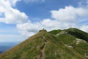 IMG_0061