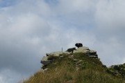 IMG_0063