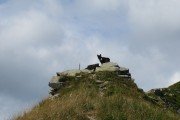 IMG_0065
