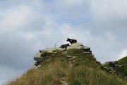 IMG_0066