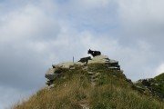 IMG_0067