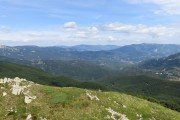 IMG_0080