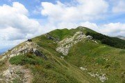 IMG_0085