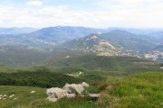 IMG_0095
