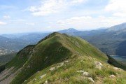 IMG_0100