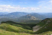 IMG_0101