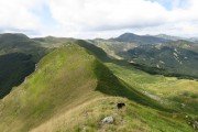 IMG_0118