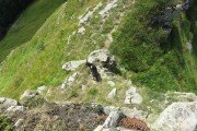 IMG_0132