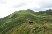 IMG_0141