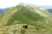 IMG_0154