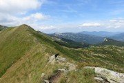 IMG_0180