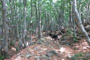 IMG_0191