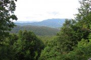 IMG_0202