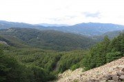 IMG_0205