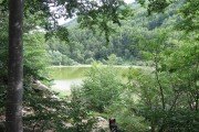 IMG_0212