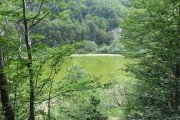 IMG_0213