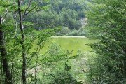 IMG_0215