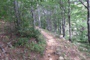IMG_0217
