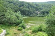 IMG_0219
