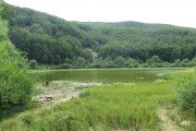 IMG_0220