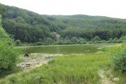IMG_0222