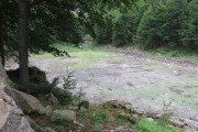 IMG_0224