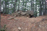 IMG_0225