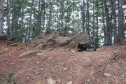 IMG_0227