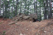 IMG_0230