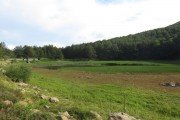 IMG_0231