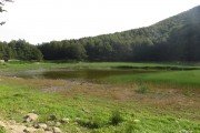 IMG_0234
